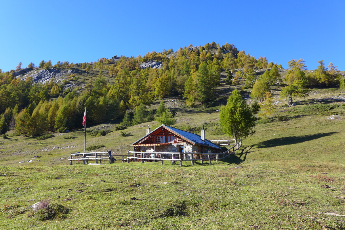 p1010322.jpg
