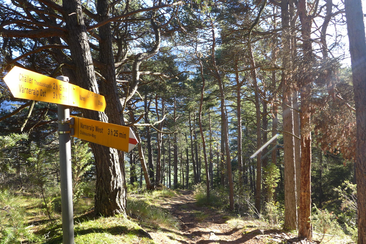 p1010327.jpg