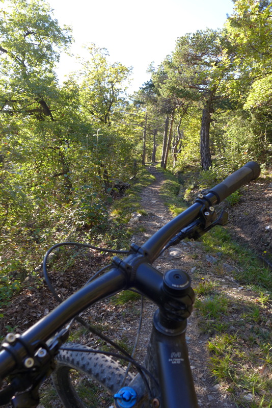 p1010335.jpg