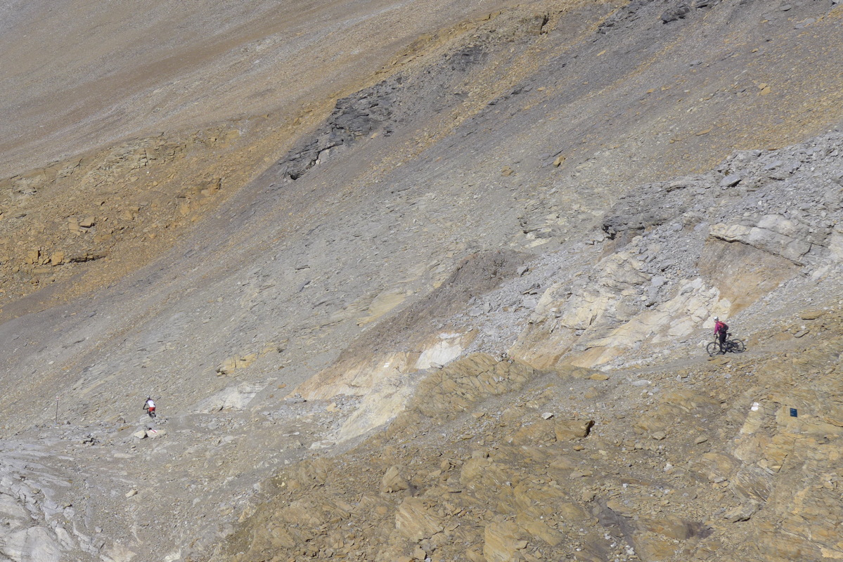 p1010356.jpg