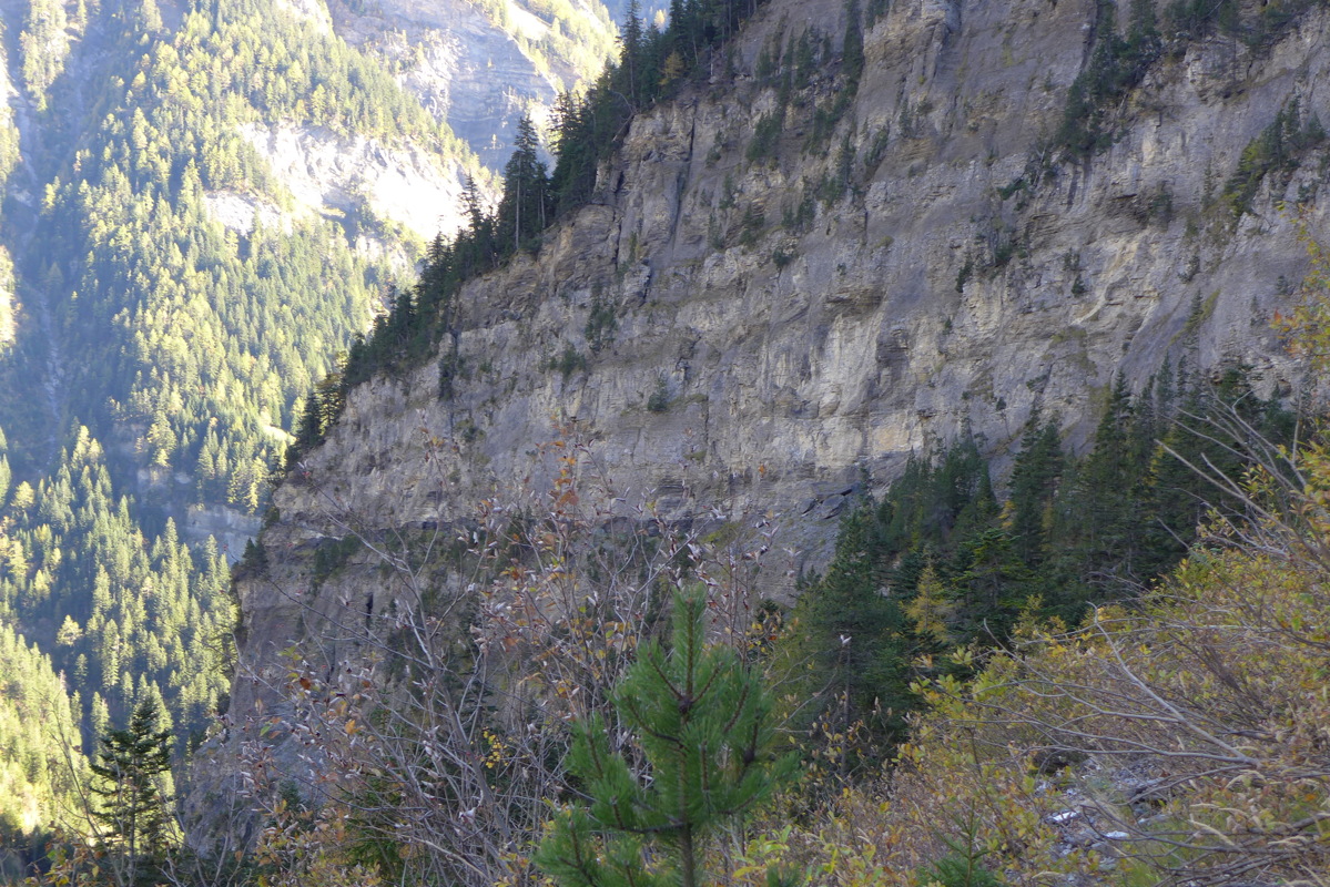 p1010377.jpg