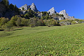 p1010313.jpg