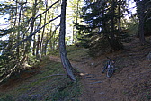 p1010319.jpg