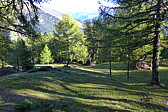 p1010321.jpg