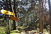 p1010327.jpg