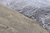 p1010353.jpg
