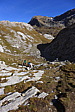 p1010363.jpg