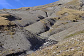 p1010366.jpg
