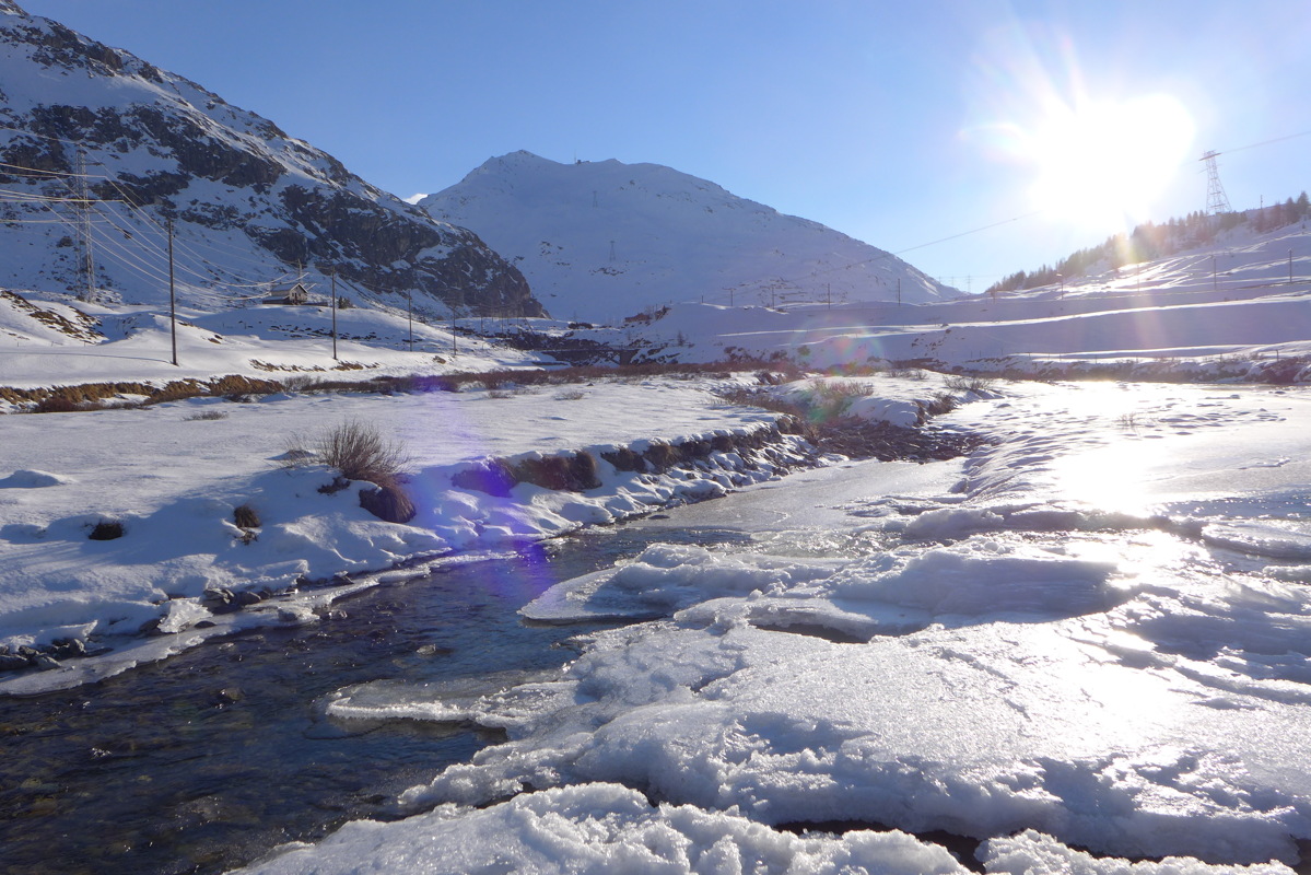 p1030510.jpg