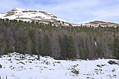 p1030439.jpg