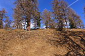 p1030473.jpg
