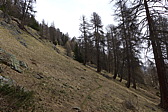 p1040725.jpg