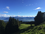 img_0330.jpg