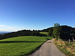 img_0334.jpg