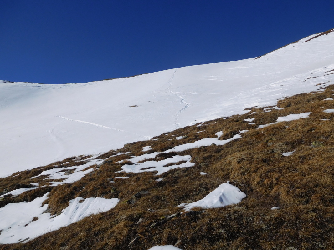 dscn1366.jpg