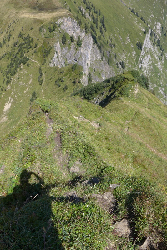 p1050994.jpg
