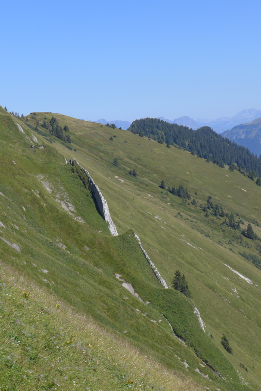 p1060001.jpg