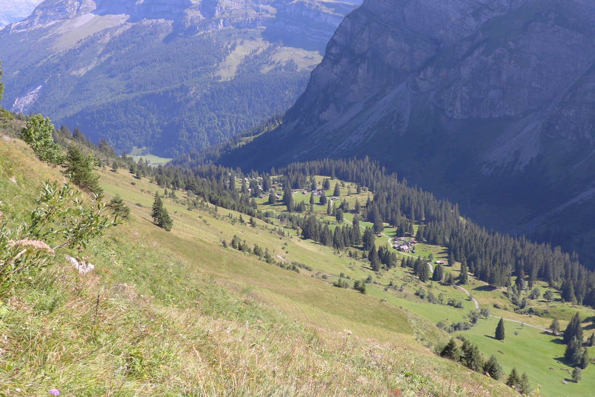 p1060002.jpg