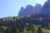 p1050982.jpg