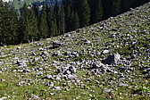 p1050986.jpg