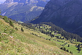 p1060002.jpg
