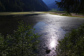 p1060005.jpg