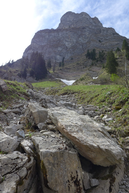 p1040926.jpg