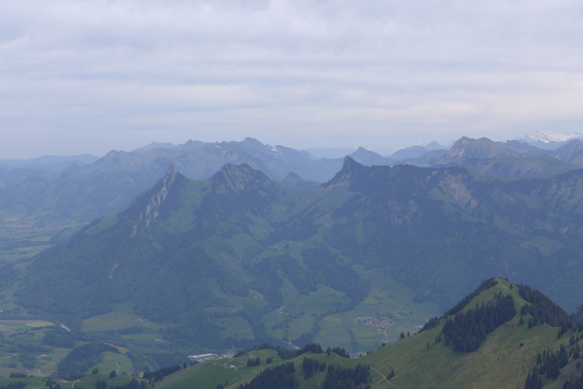 p1040932.jpg