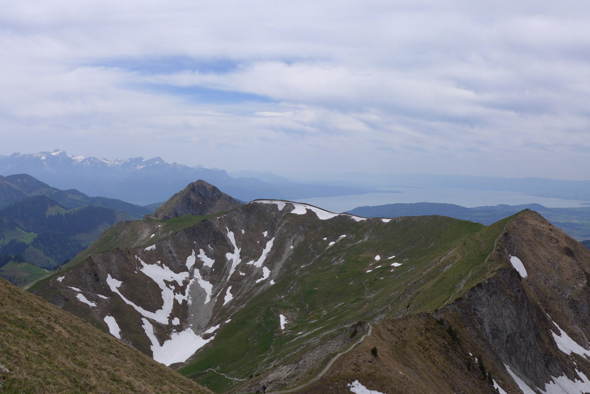 p1040934.jpg