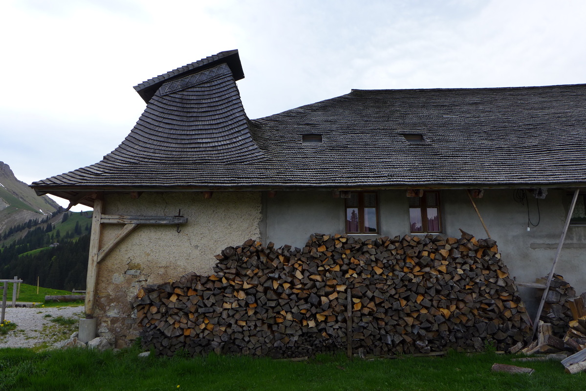 p1040956.jpg