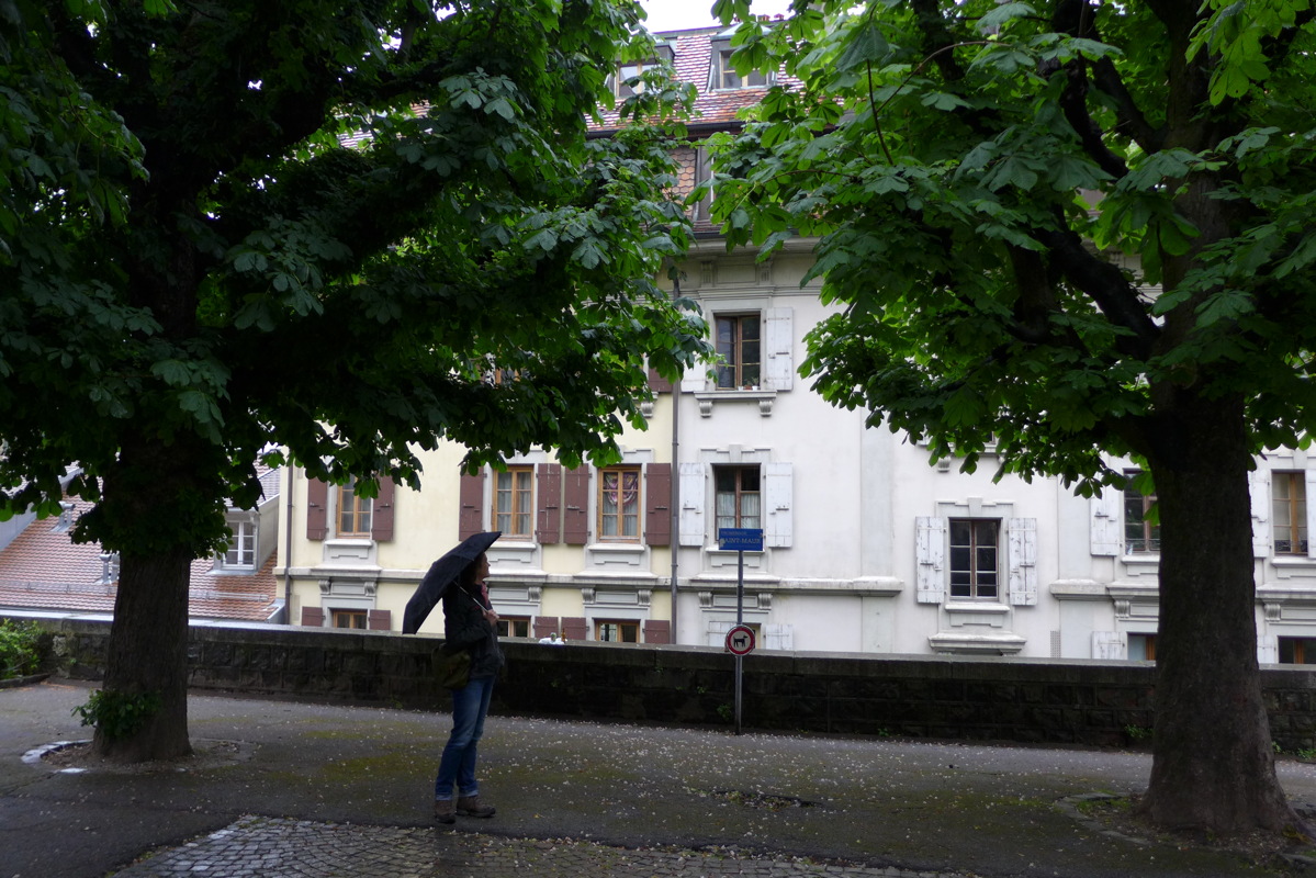 p1040963.jpg