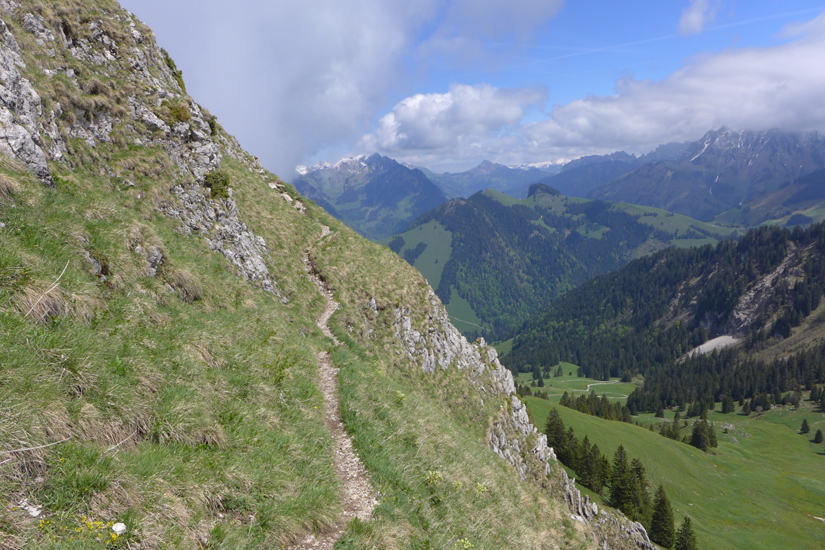 p1040979.jpg