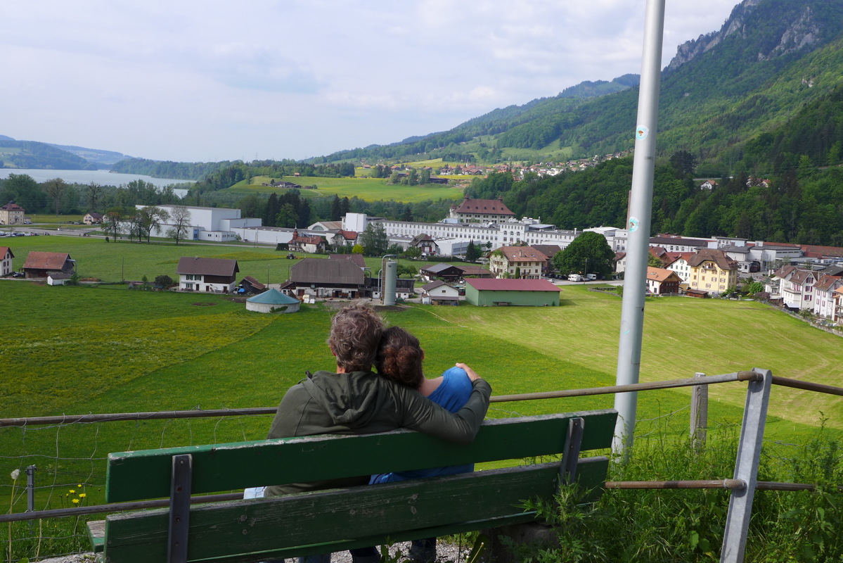 p1040984.jpg