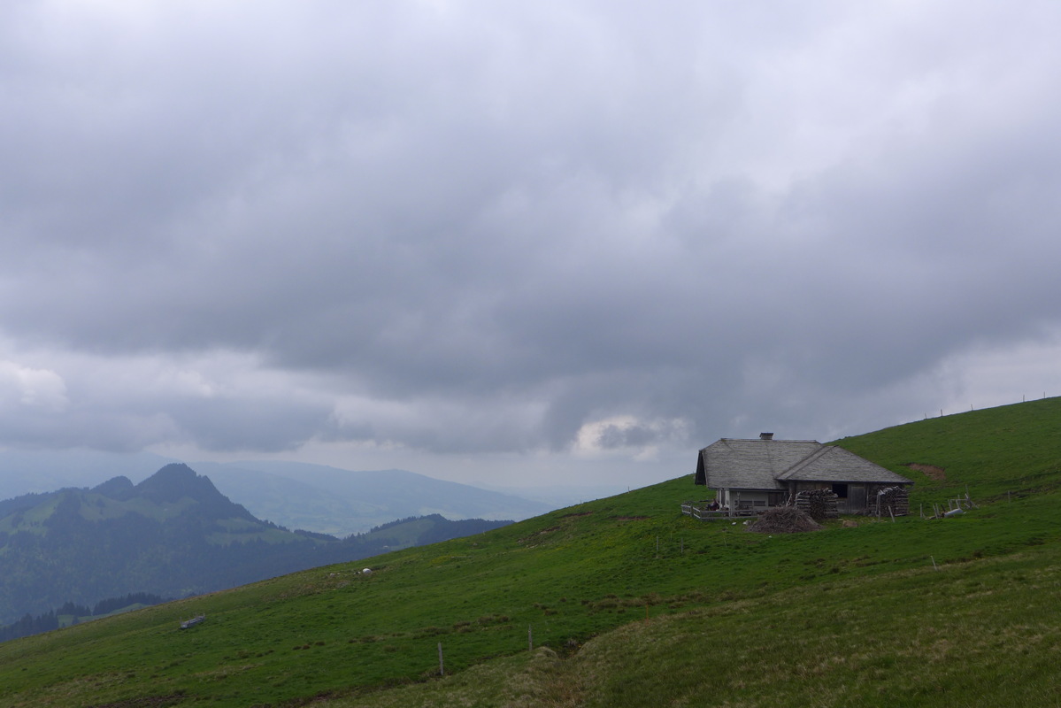 p1040999.jpg