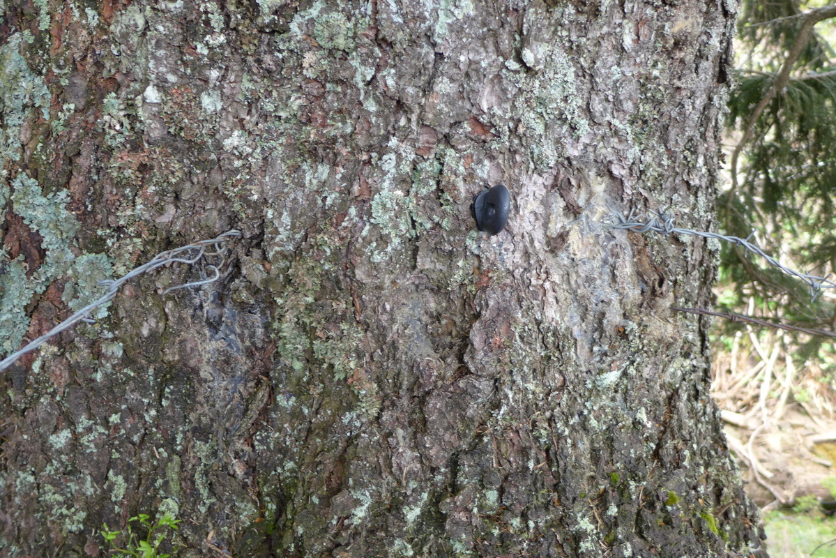 p1050002.jpg