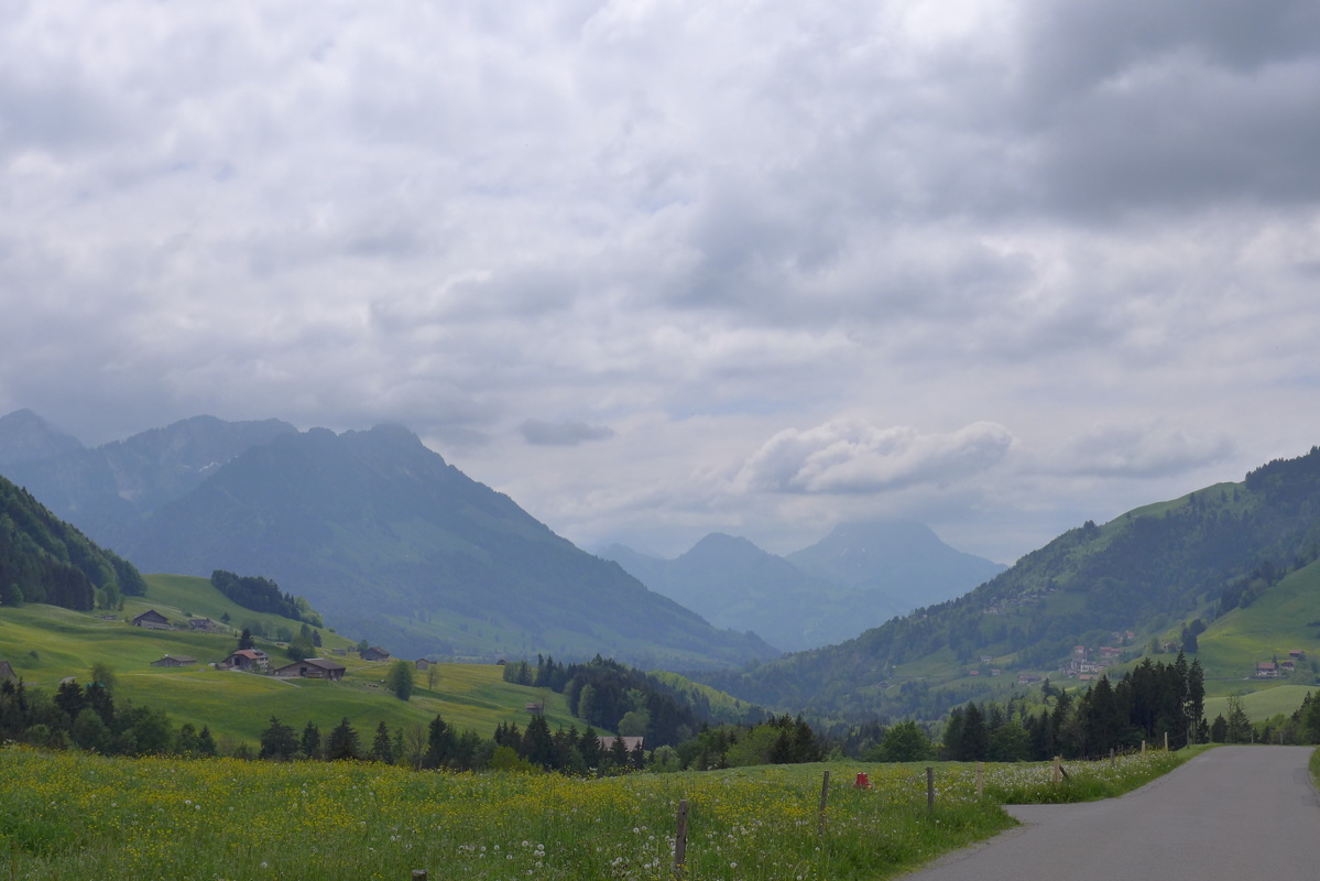 p1050006.jpg
