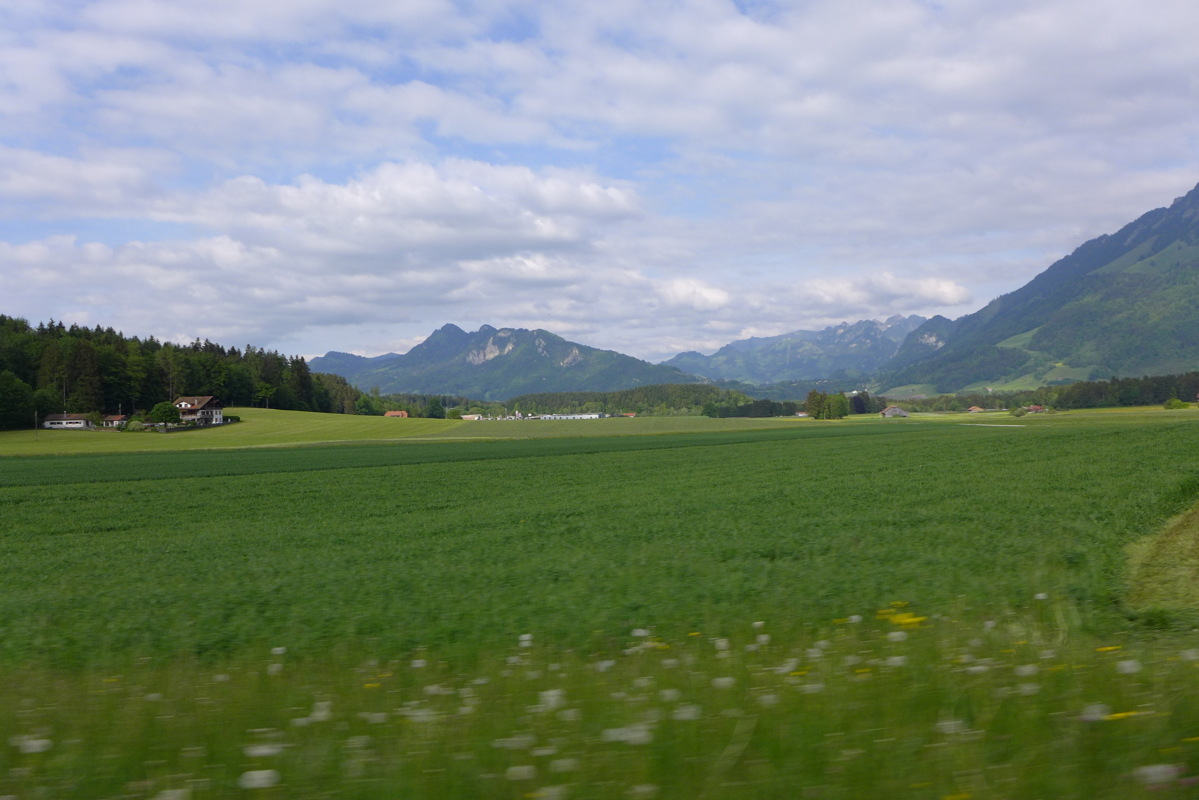 p1050021.jpg