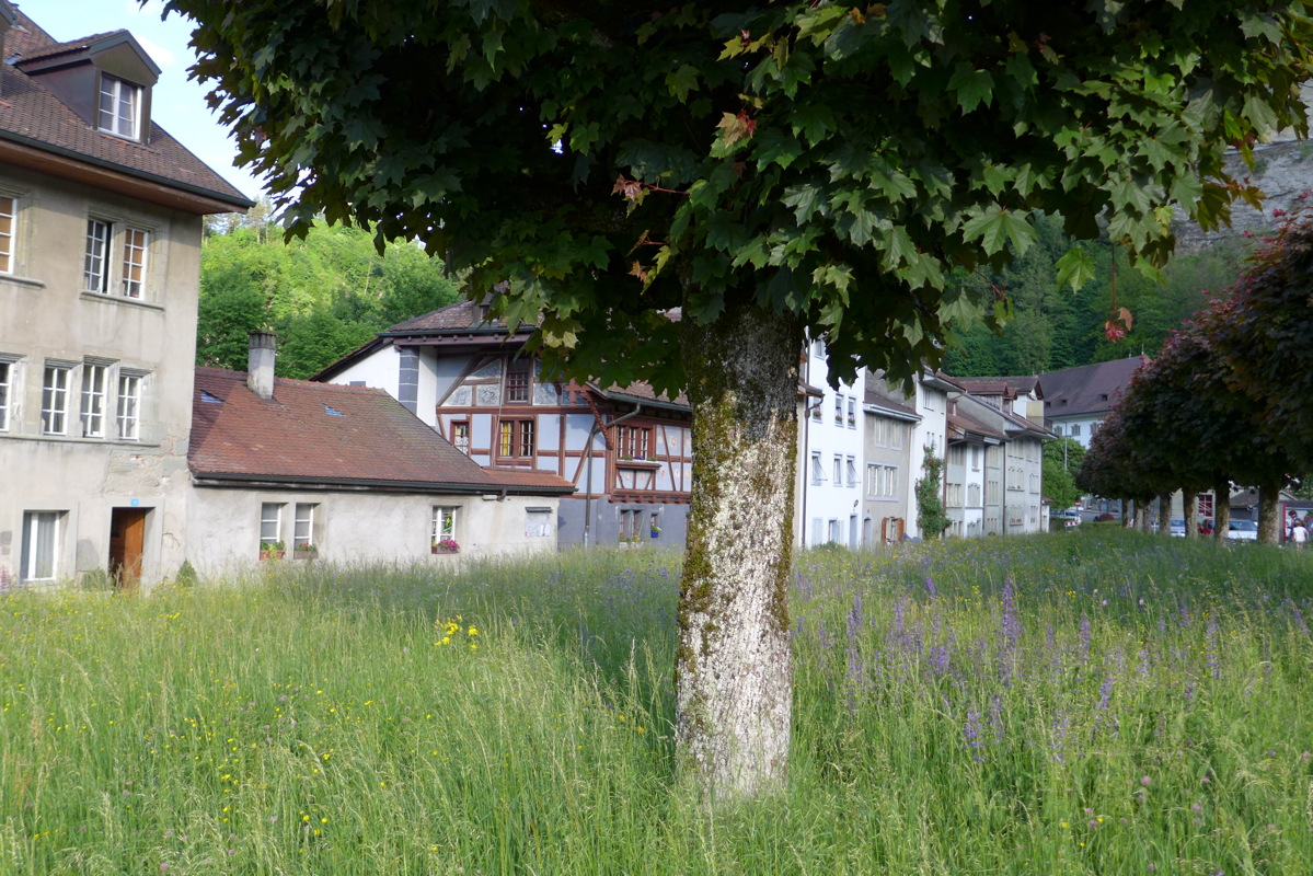 p1050033.jpg