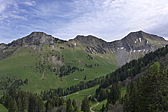p1040954.jpg