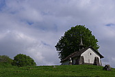 p1040970.jpg