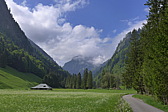 p1040971.jpg