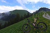 p1040973.jpg