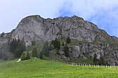 p1040982.jpg