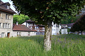 p1050033.jpg