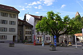 p1050035.jpg