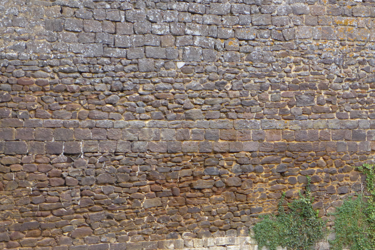 p1050805.jpg
