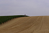 p1050781.jpg