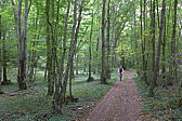 p1050785.jpg