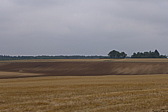 p1050809.jpg