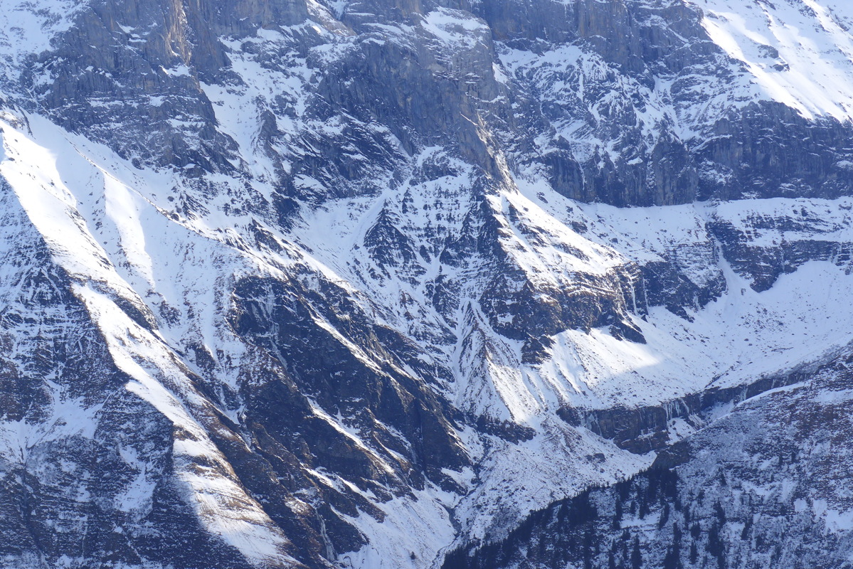 p1030733_2.jpg